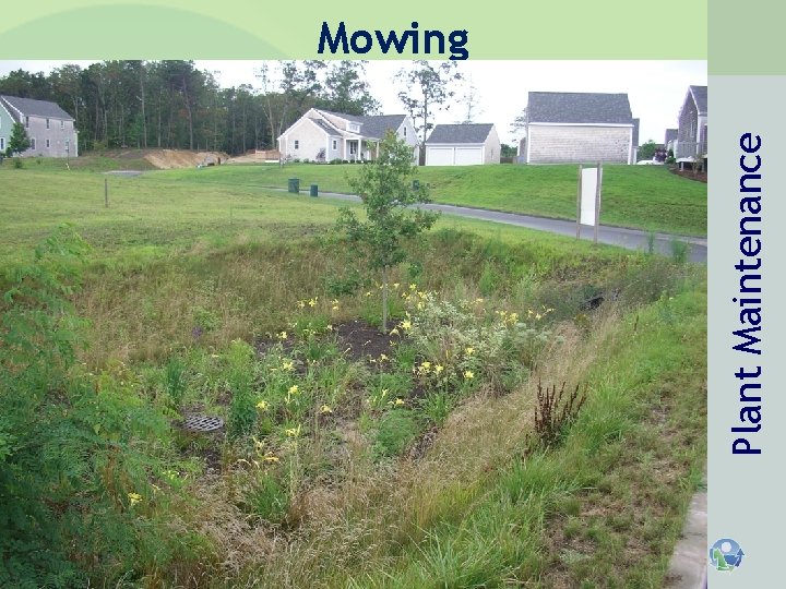 Plant Maintenance Mowing Horsley Witten Group, Inc. Plant Maintenance Mowing Horsley Witten Group, Inc.