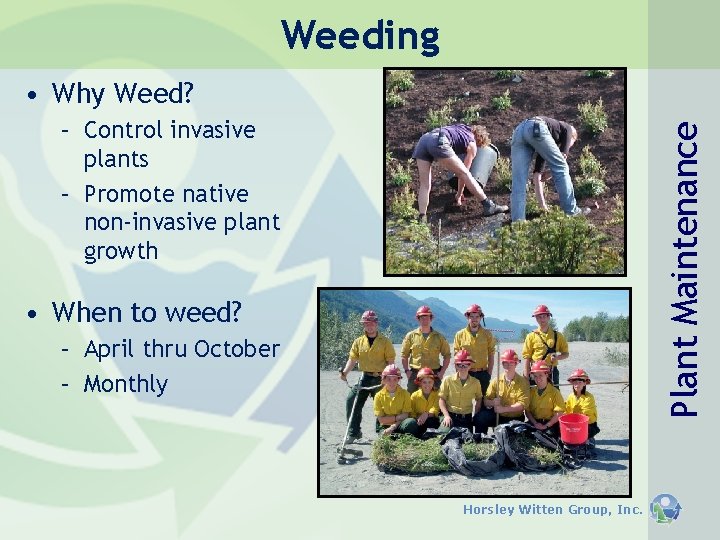 Weeding • Why Weed? Plant Maintenance – Control invasive plants – Promote native non-invasive Weeding • Why Weed? Plant Maintenance – Control invasive plants – Promote native non-invasive