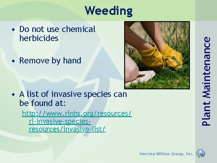 Weeding Plant Maintenance • Do not use chemical herbicides • Remove by hand • Weeding Plant Maintenance • Do not use chemical herbicides • Remove by hand •