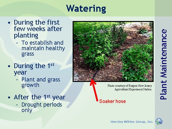 • During the first few weeks after planting – To establish and maintain • During the first few weeks after planting – To establish and maintain