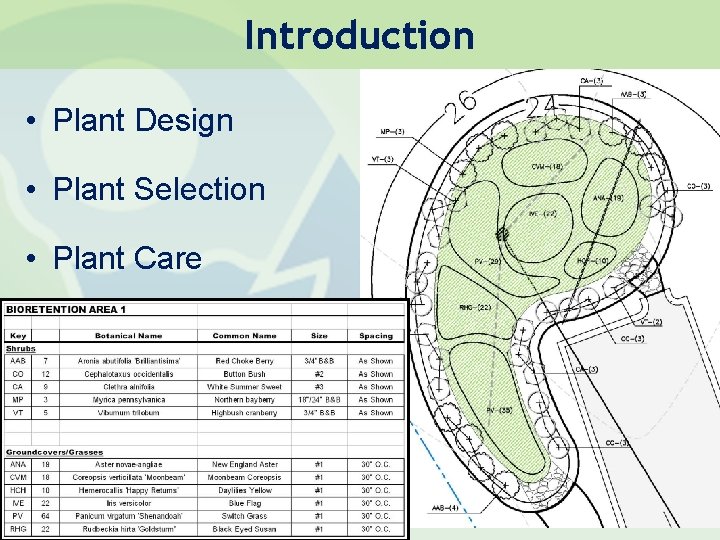 Introduction • Plant Design • Plant Selection • Plant Care Horsley Witten Group, Inc. Introduction • Plant Design • Plant Selection • Plant Care Horsley Witten Group, Inc.