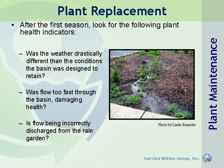 Plant Replacement – Was the weather drastically different than the conditions the basin was Plant Replacement – Was the weather drastically different than the conditions the basin was