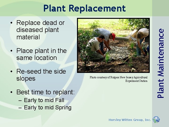 • Replace dead or diseased plant material • Place plant in the same • Replace dead or diseased plant material • Place plant in the same