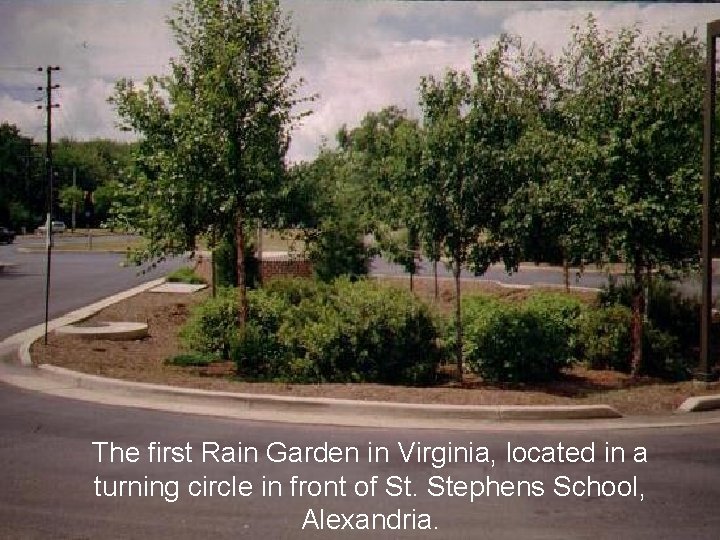 The first Rain Garden in Virginia, located in a turning circle in front of The first Rain Garden in Virginia, located in a turning circle in front of