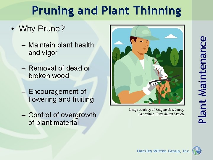 Pruning and Plant Thinning – Maintain plant health and vigor – Removal of dead Pruning and Plant Thinning – Maintain plant health and vigor – Removal of dead