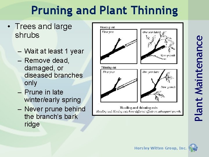 Pruning and Plant Thinning Plant Maintenance • Trees and large shrubs – Wait at Pruning and Plant Thinning Plant Maintenance • Trees and large shrubs – Wait at