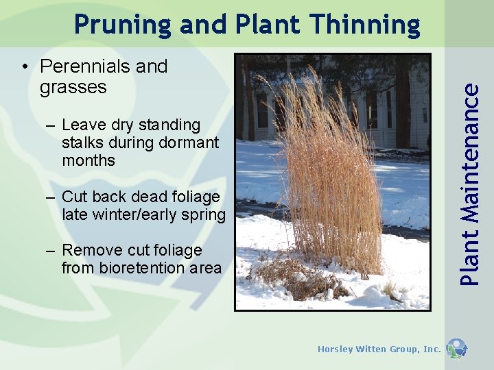 Pruning and Plant Thinning Plant Maintenance • Perennials and grasses – Leave dry standing Pruning and Plant Thinning Plant Maintenance • Perennials and grasses – Leave dry standing