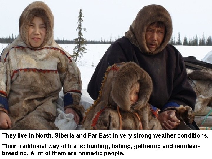 They live in North, Siberia and Far East in very strong weather conditions. Their