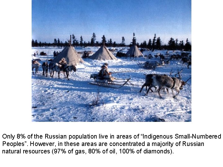 Only 8% of the Russian population live in areas of “Indigenous Small-Numbered Peoples”. However,