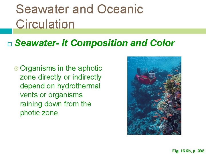 Seawater and Oceanic Circulation Seawater- It Composition and Color Organisms in the aphotic zone Seawater and Oceanic Circulation Seawater- It Composition and Color Organisms in the aphotic zone