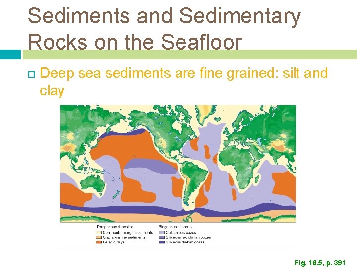 Sediments and Sedimentary Rocks on the Seafloor Deep sea sediments are fine grained: silt Sediments and Sedimentary Rocks on the Seafloor Deep sea sediments are fine grained: silt