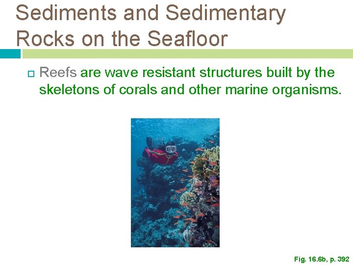 Sediments and Sedimentary Rocks on the Seafloor Reefs are wave resistant structures built by Sediments and Sedimentary Rocks on the Seafloor Reefs are wave resistant structures built by