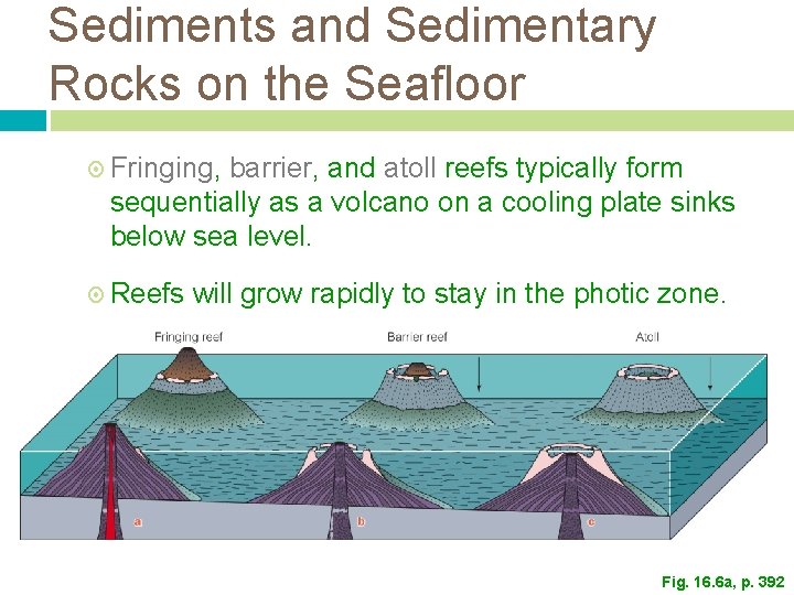 Sediments and Sedimentary Rocks on the Seafloor Fringing, barrier, and atoll reefs typically form Sediments and Sedimentary Rocks on the Seafloor Fringing, barrier, and atoll reefs typically form