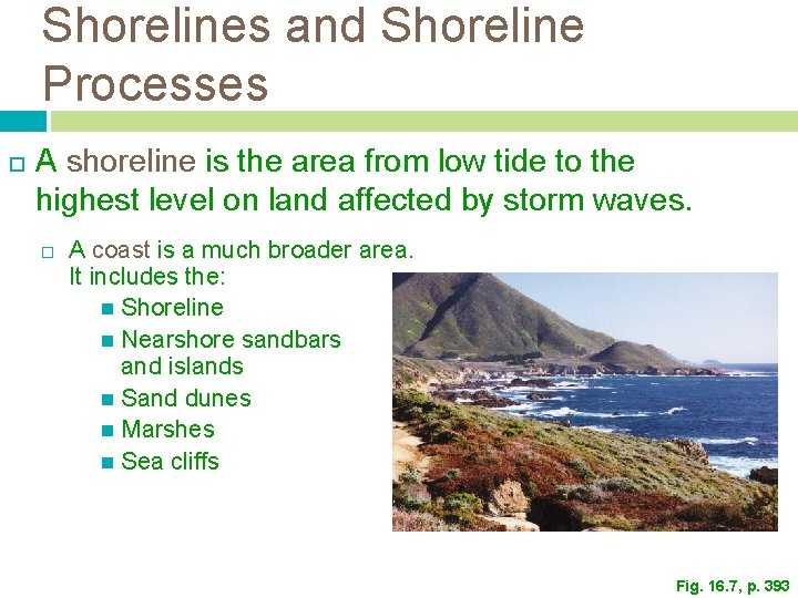 Shorelines and Shoreline Processes A shoreline is the area from low tide to the Shorelines and Shoreline Processes A shoreline is the area from low tide to the