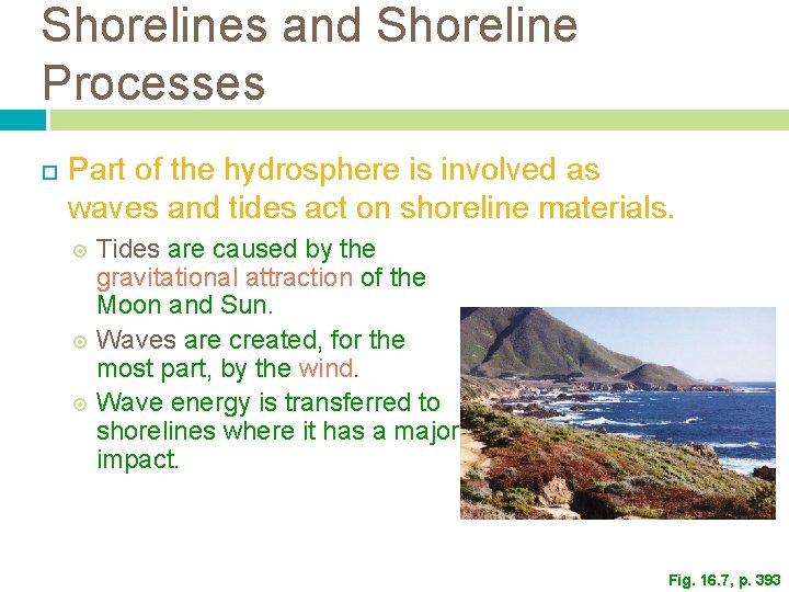 Shorelines and Shoreline Processes Part of the hydrosphere is involved as waves and tides Shorelines and Shoreline Processes Part of the hydrosphere is involved as waves and tides