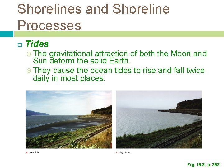 Shorelines and Shoreline Processes Tides The gravitational attraction of both the Moon and Sun Shorelines and Shoreline Processes Tides The gravitational attraction of both the Moon and Sun
