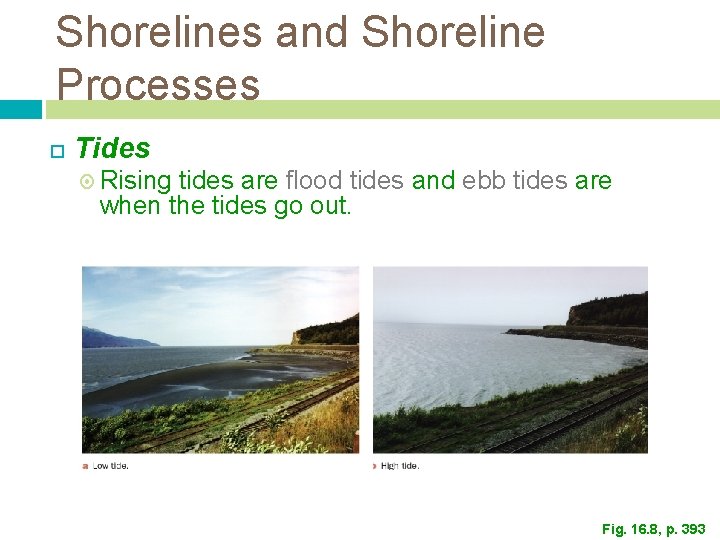 Shorelines and Shoreline Processes Tides Rising tides are flood tides and ebb tides are Shorelines and Shoreline Processes Tides Rising tides are flood tides and ebb tides are