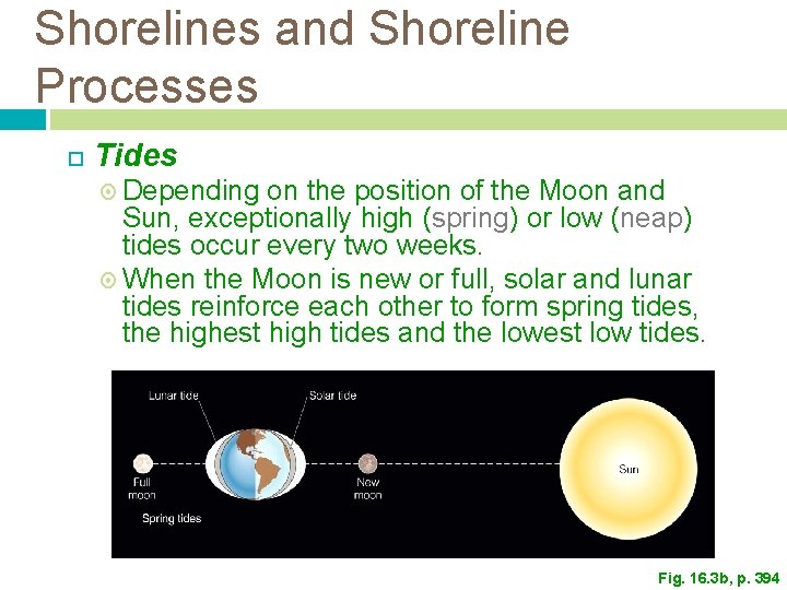 Shorelines and Shoreline Processes Tides Depending on the position of the Moon and Sun, Shorelines and Shoreline Processes Tides Depending on the position of the Moon and Sun,