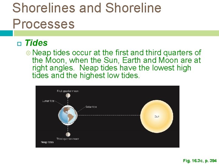 Shorelines and Shoreline Processes Tides Neap tides occur at the first and third quarters Shorelines and Shoreline Processes Tides Neap tides occur at the first and third quarters