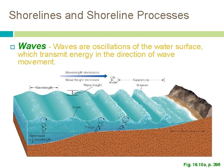 Shorelines and Shoreline Processes Waves - Waves are oscillations of the water surface, which Shorelines and Shoreline Processes Waves - Waves are oscillations of the water surface, which
