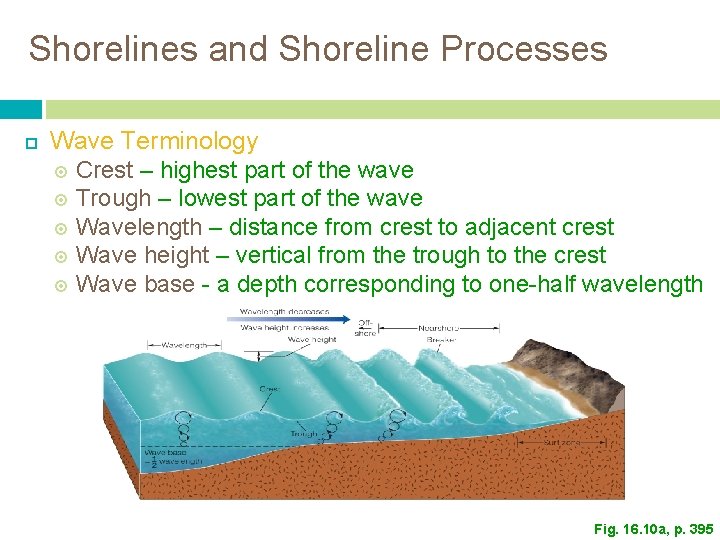 Shorelines and Shoreline Processes Wave Terminology Crest – highest part of the wave Trough Shorelines and Shoreline Processes Wave Terminology Crest – highest part of the wave Trough