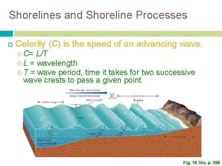 Shorelines and Shoreline Processes Celerity (C) is the speed of an advancing wave. C= Shorelines and Shoreline Processes Celerity (C) is the speed of an advancing wave. C=