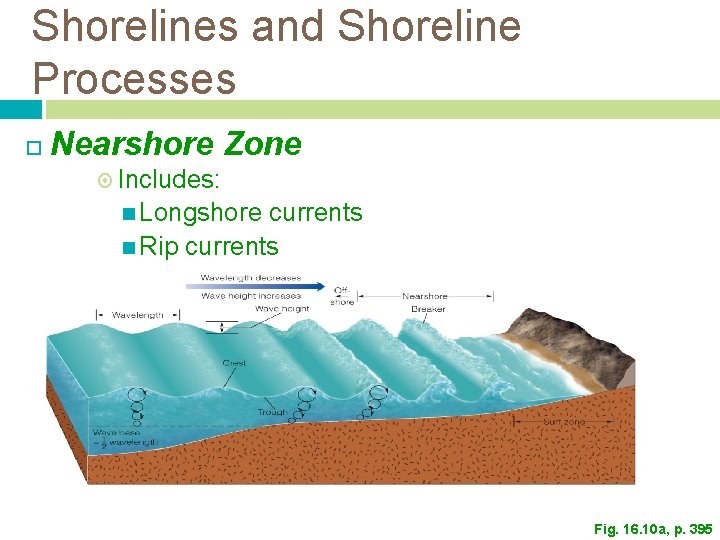 Shorelines and Shoreline Processes Nearshore Zone Includes: Longshore currents Rip currents Fig. 16. 10 Shorelines and Shoreline Processes Nearshore Zone Includes: Longshore currents Rip currents Fig. 16. 10