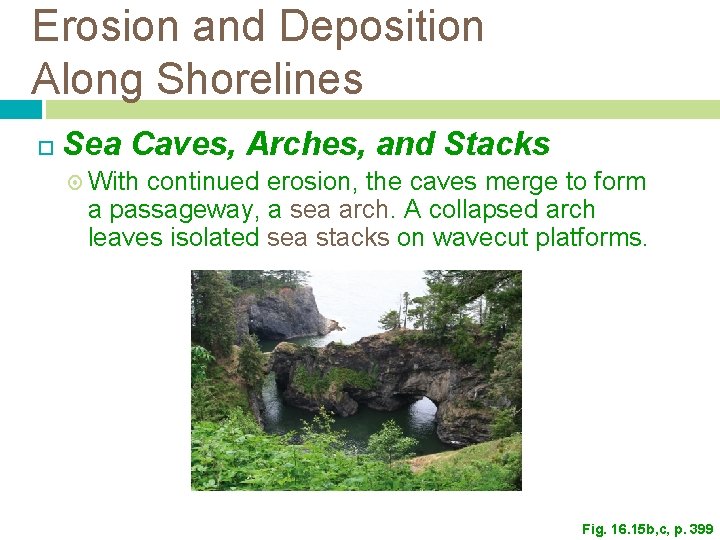 Erosion and Deposition Along Shorelines Sea Caves, Arches, and Stacks With continued erosion, the Erosion and Deposition Along Shorelines Sea Caves, Arches, and Stacks With continued erosion, the