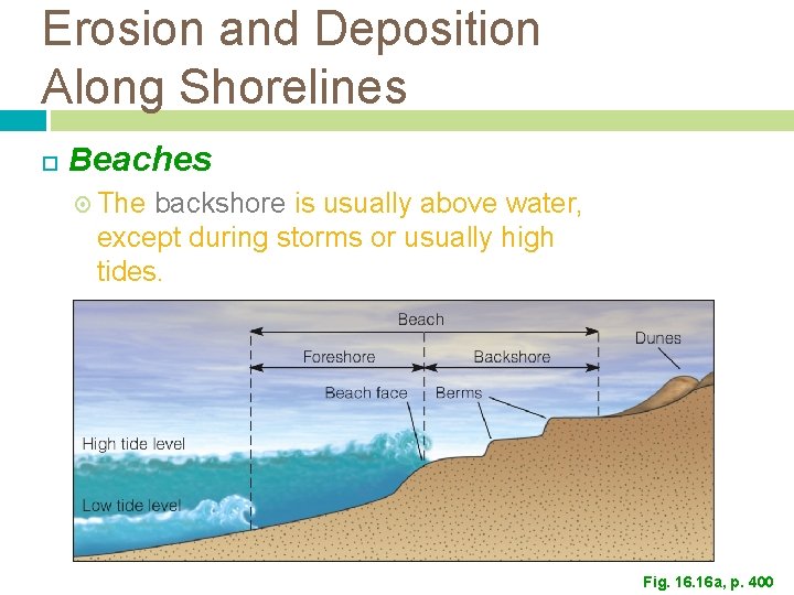 Erosion and Deposition Along Shorelines Beaches The backshore is usually above water, except during Erosion and Deposition Along Shorelines Beaches The backshore is usually above water, except during