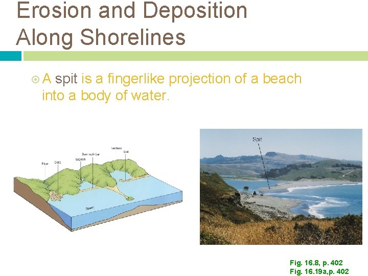 Erosion and Deposition Along Shorelines A spit is a fingerlike projection of a beach Erosion and Deposition Along Shorelines A spit is a fingerlike projection of a beach