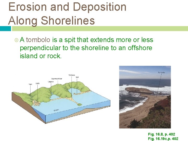 Erosion and Deposition Along Shorelines A tombolo is a spit that extends more or Erosion and Deposition Along Shorelines A tombolo is a spit that extends more or