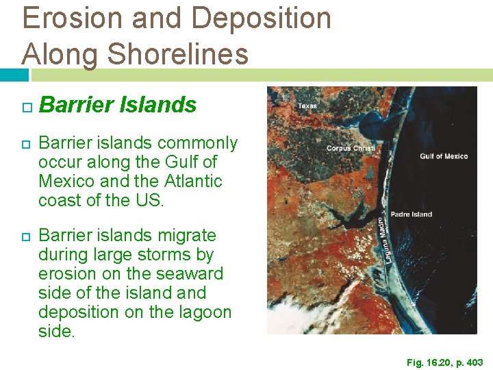 Erosion and Deposition Along Shorelines Barrier Islands Barrier islands commonly occur along the Gulf Erosion and Deposition Along Shorelines Barrier Islands Barrier islands commonly occur along the Gulf
