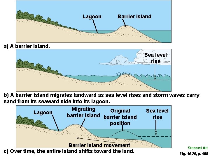 Lagoon Barrier island a) A barrier island. Sea level rise b) A barrier island Lagoon Barrier island a) A barrier island. Sea level rise b) A barrier island