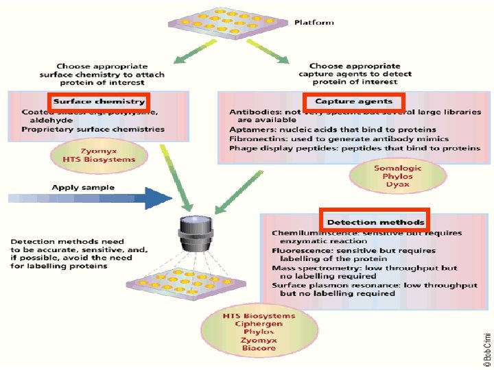 High throughput Protein Measurement Techniques Harin Kanani Proteins