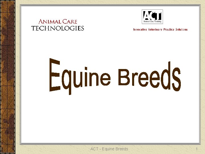 ACT - Equine Breeds 1 