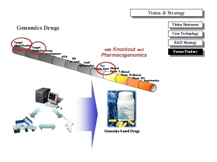 Vision & Strategy Vision Statement Genomics Drugs Core Technology R&D Strategy Knockout and Pharmacogenomics