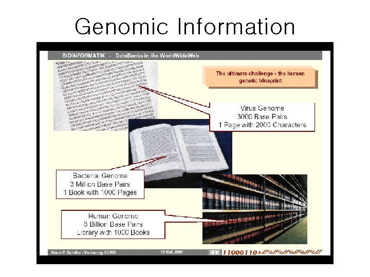 Genomic Information 