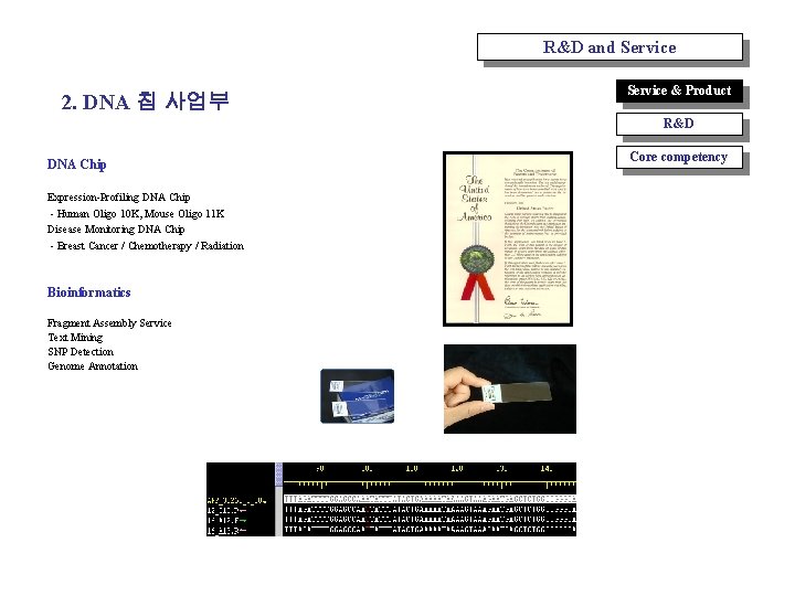 R&D and Service 2. DNA 칩 사업부 Service & Product R&D DNA Chip Expression-Profiling