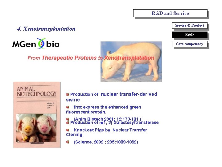 R&D and Service 4. Xenotransplantation Service & Product R&D Core competency From Therapeutic Proteins