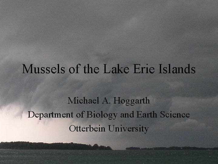 Mussels of the Lake Erie Islands Michael A. Hoggarth Department of Biology and Earth