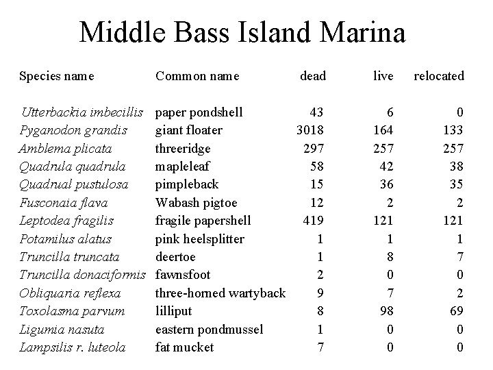 Middle Bass Island Marina Species name Common name Utterbackia imbecillis paper pondshell Pyganodon grandis