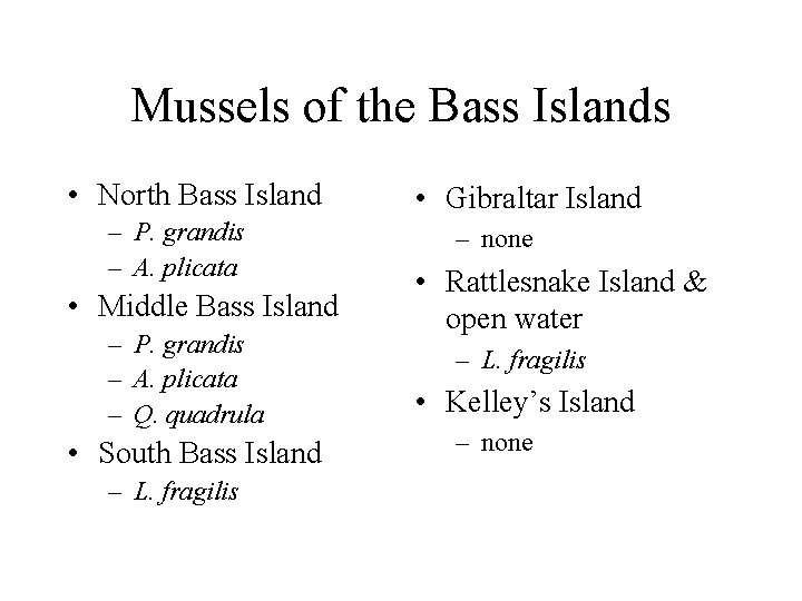 Mussels of the Bass Islands • North Bass Island – P. grandis – A.