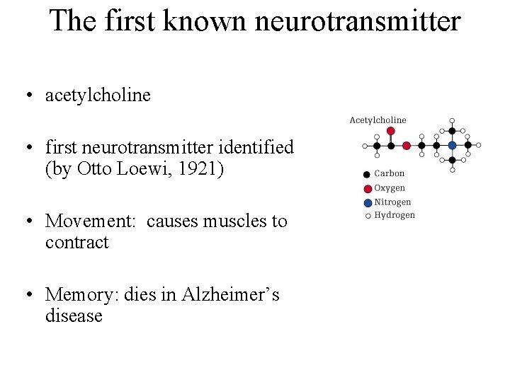 The first known neurotransmitter • acetylcholine • first neurotransmitter identified (by Otto Loewi, 1921)