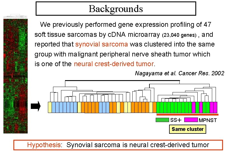 GeneExpression Pattern and Differentiation Potential of Synovial Sarcoma