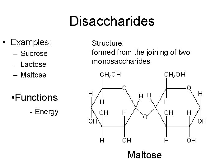 Disaccharides • Examples: – Sucrose – Lactose – Maltose Structure: formed from the joining
