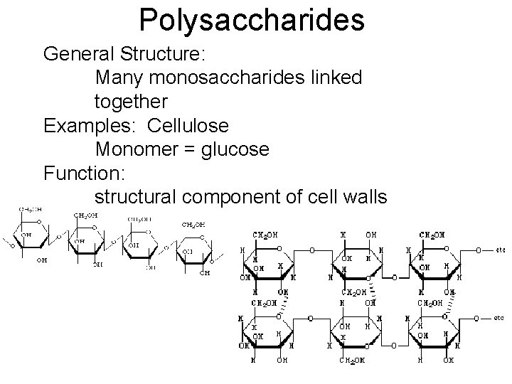 Polysaccharides General Structure: Many monosaccharides linked together Examples: Cellulose Monomer = glucose Function: structural