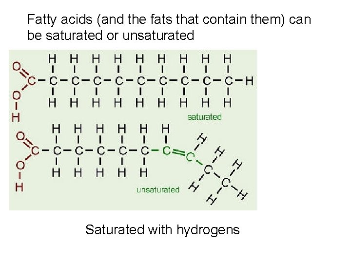 Fatty acids (and the fats that contain them) can be saturated or unsaturated Saturated