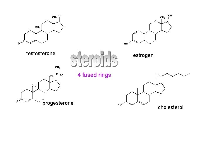 testosterone estrogen 4 fused rings progesterone cholesterol 