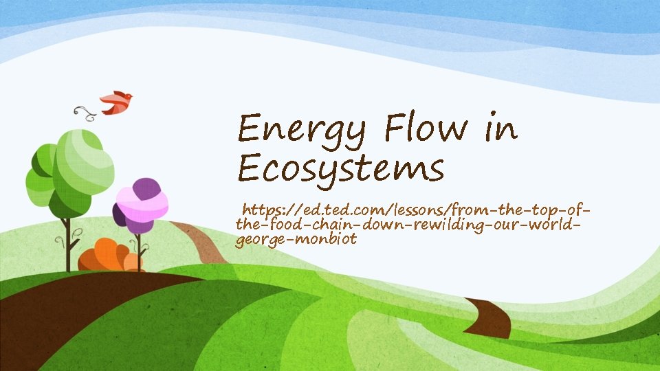 Energy Flow in Ecosystems https: //ed. ted. com/lessons/from-the-top-ofthe-food-chain-down-rewilding-our-worldgeorge-monbiot 