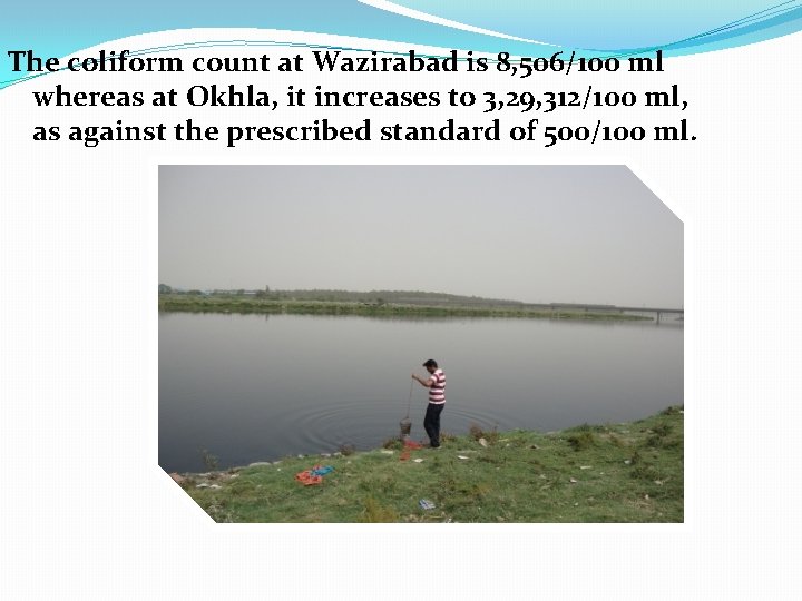 The coliform count at Wazirabad is 8, 506/100 ml whereas at Okhla, it increases